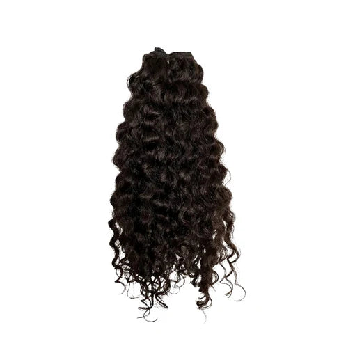 Burmese Curly